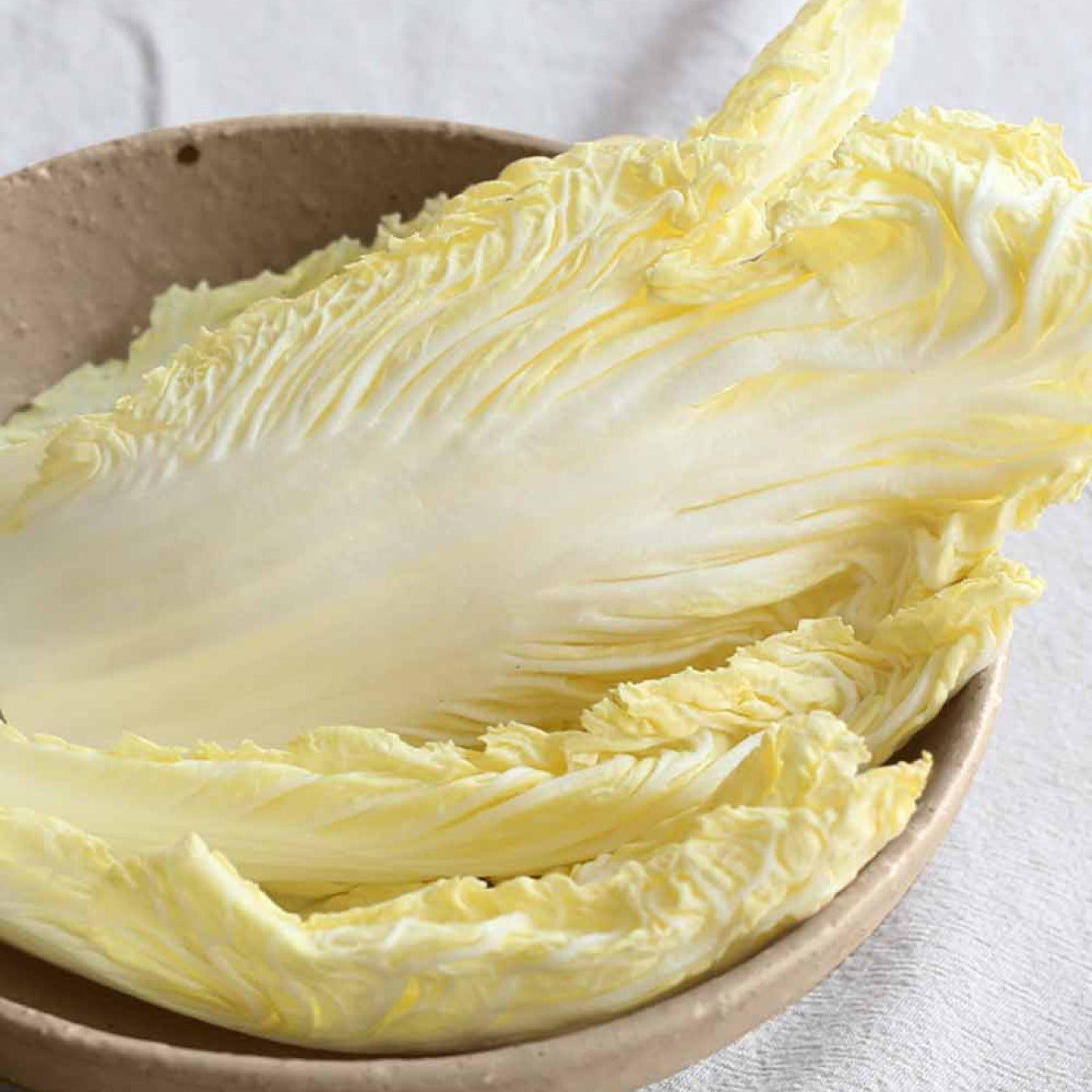 Crumbs Salad Bowl 7"