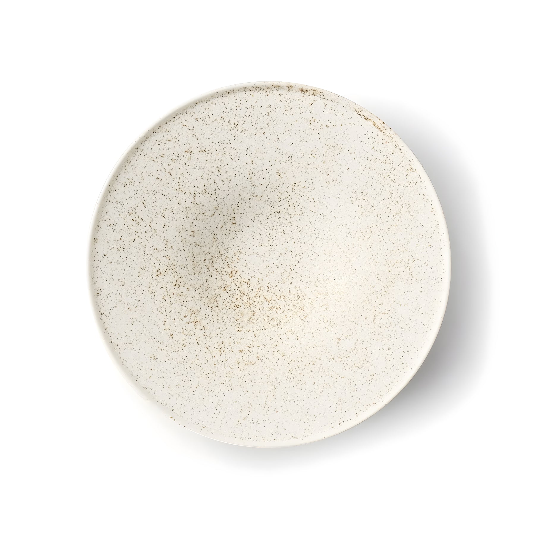 Bowl with Rim 10" - Nashiji White