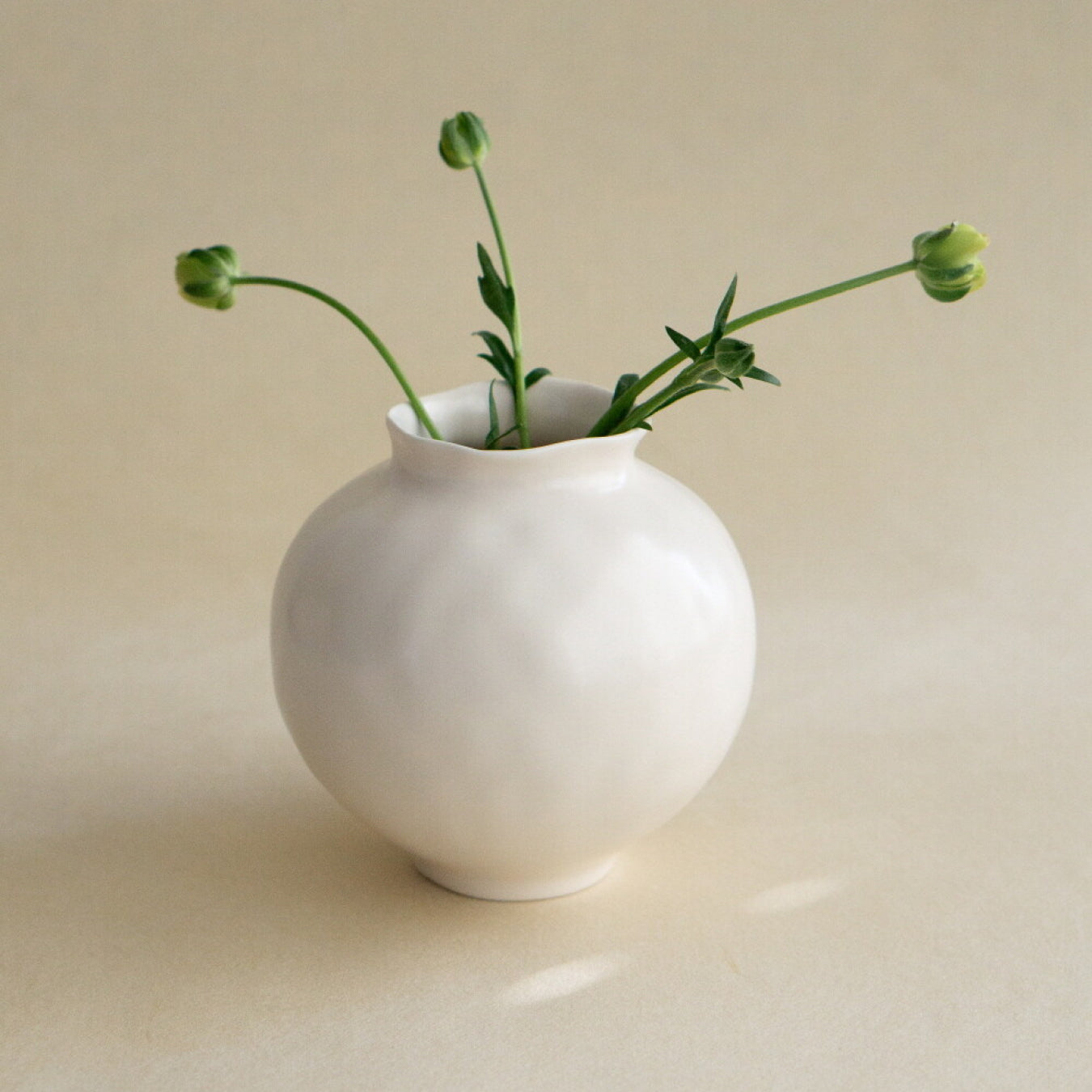 MOON JAR S