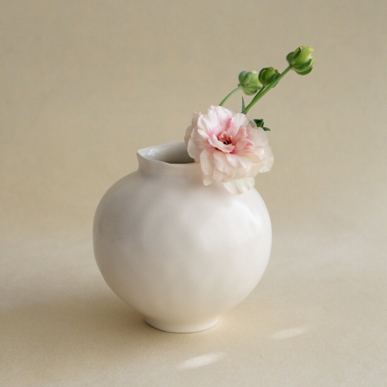 MOON JAR S