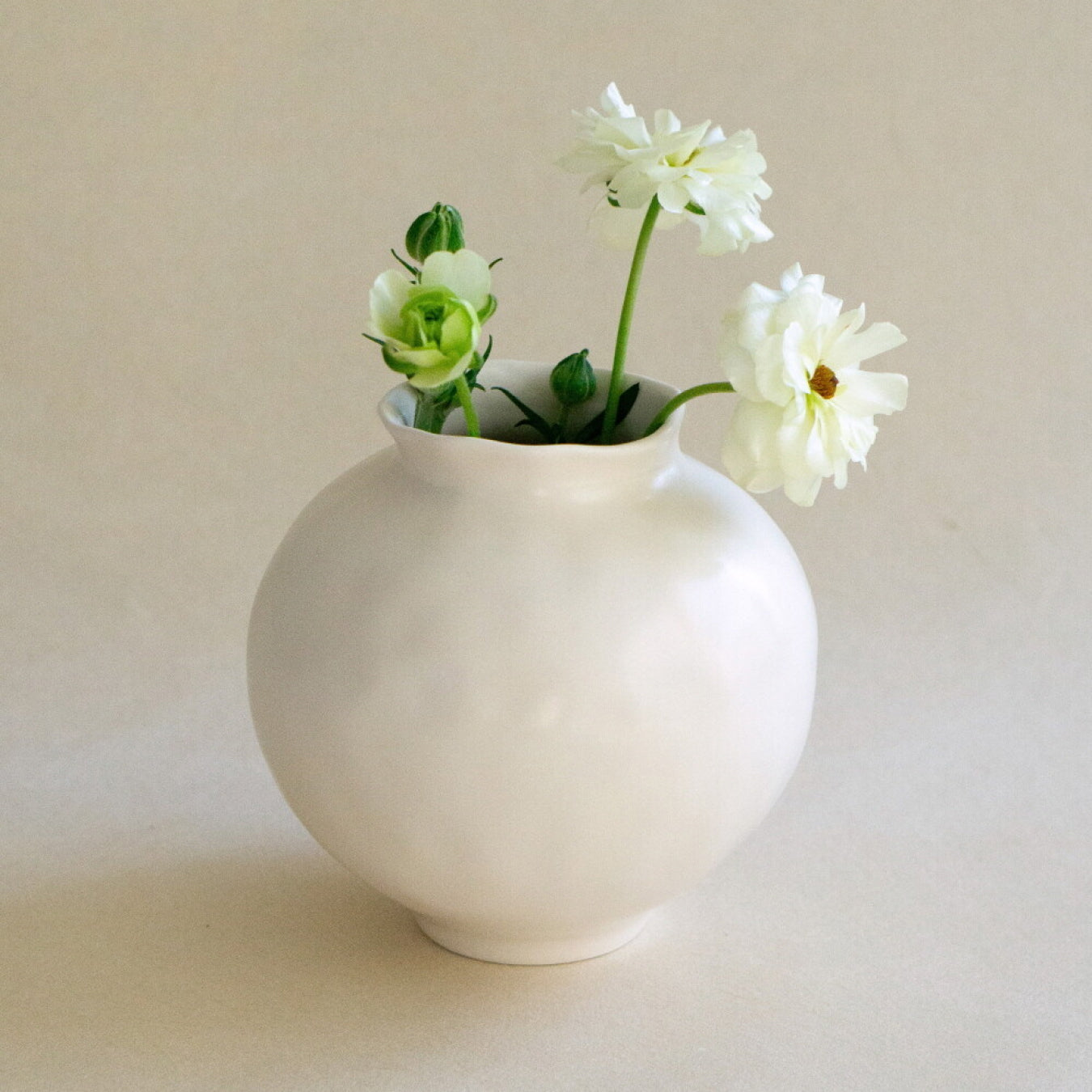 MOON JAR S