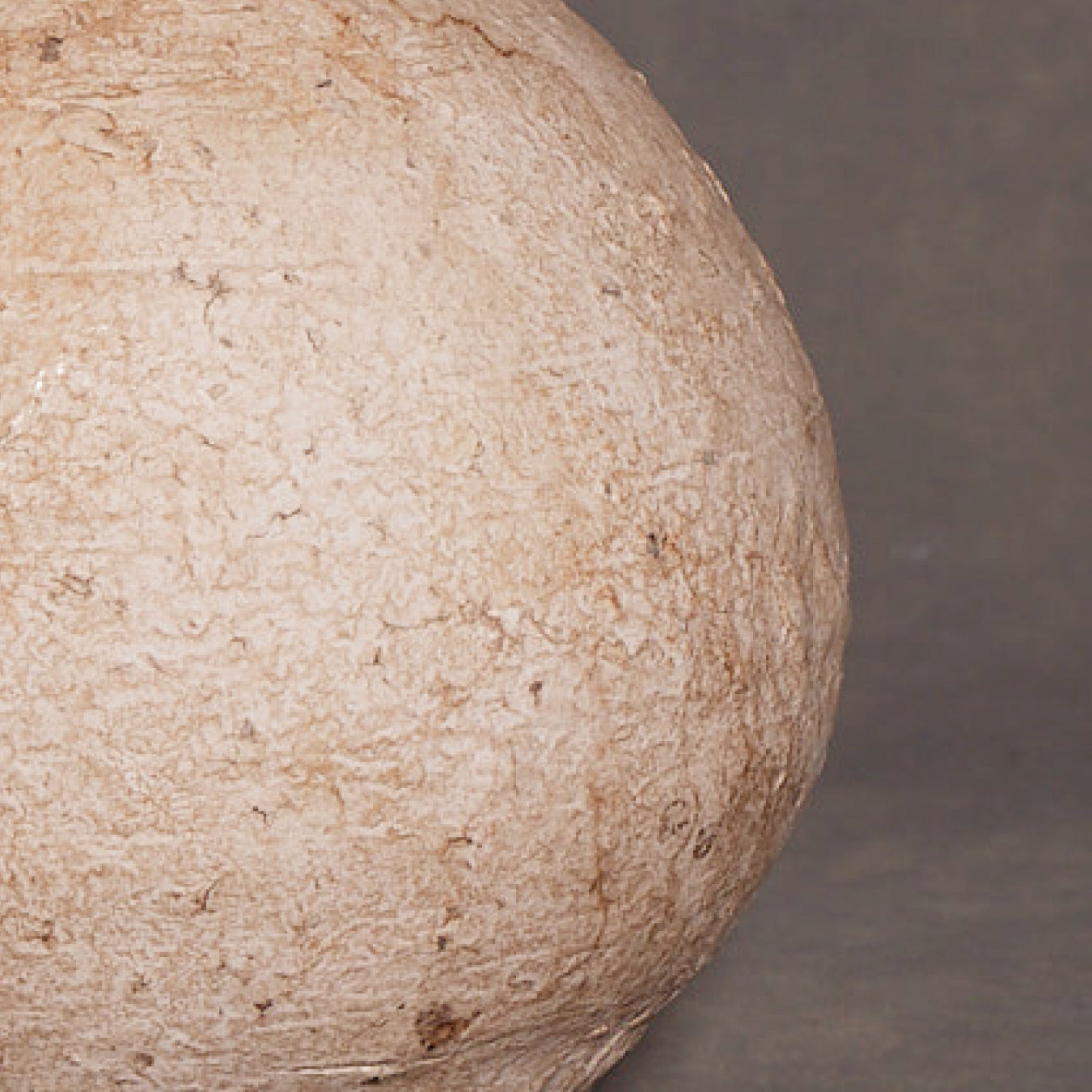 Minako Sakurai Moon Vase 2501