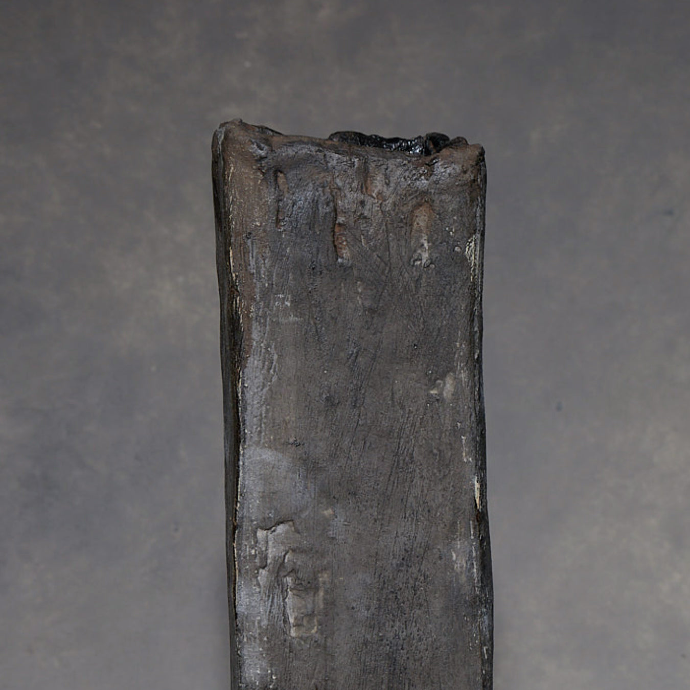 Minako Sakurai Black Vase 01