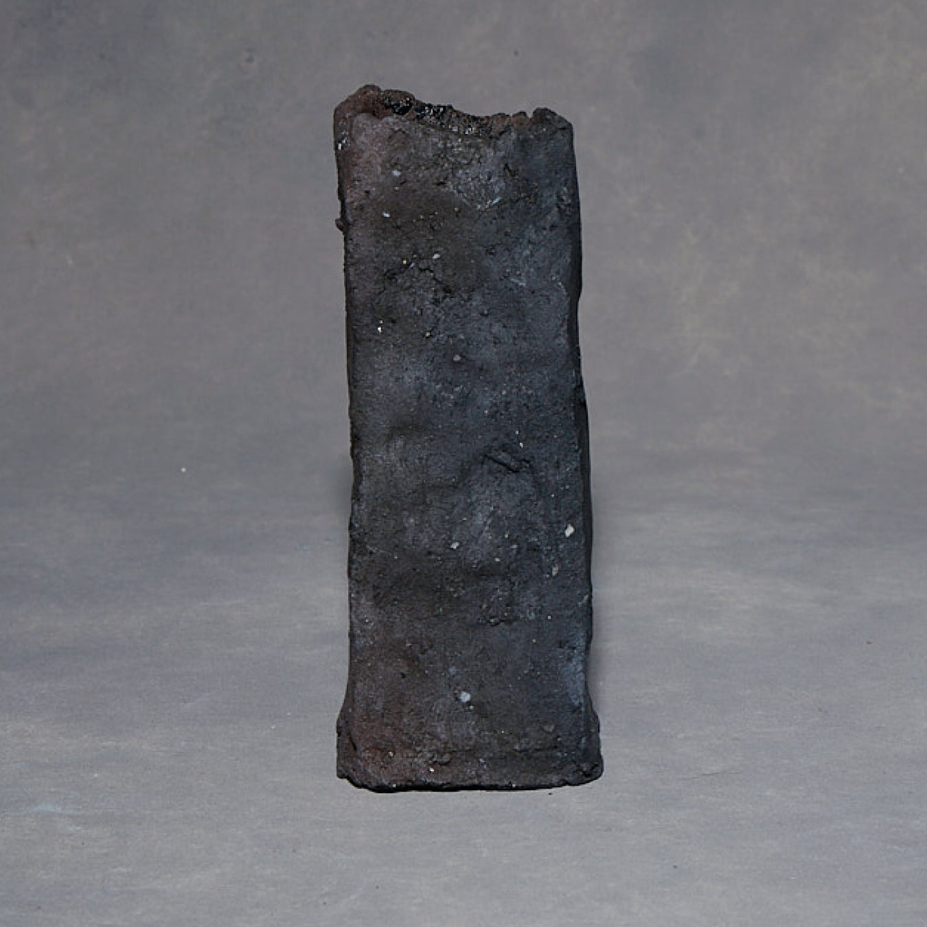 Minako Sakurai Black Vase 03