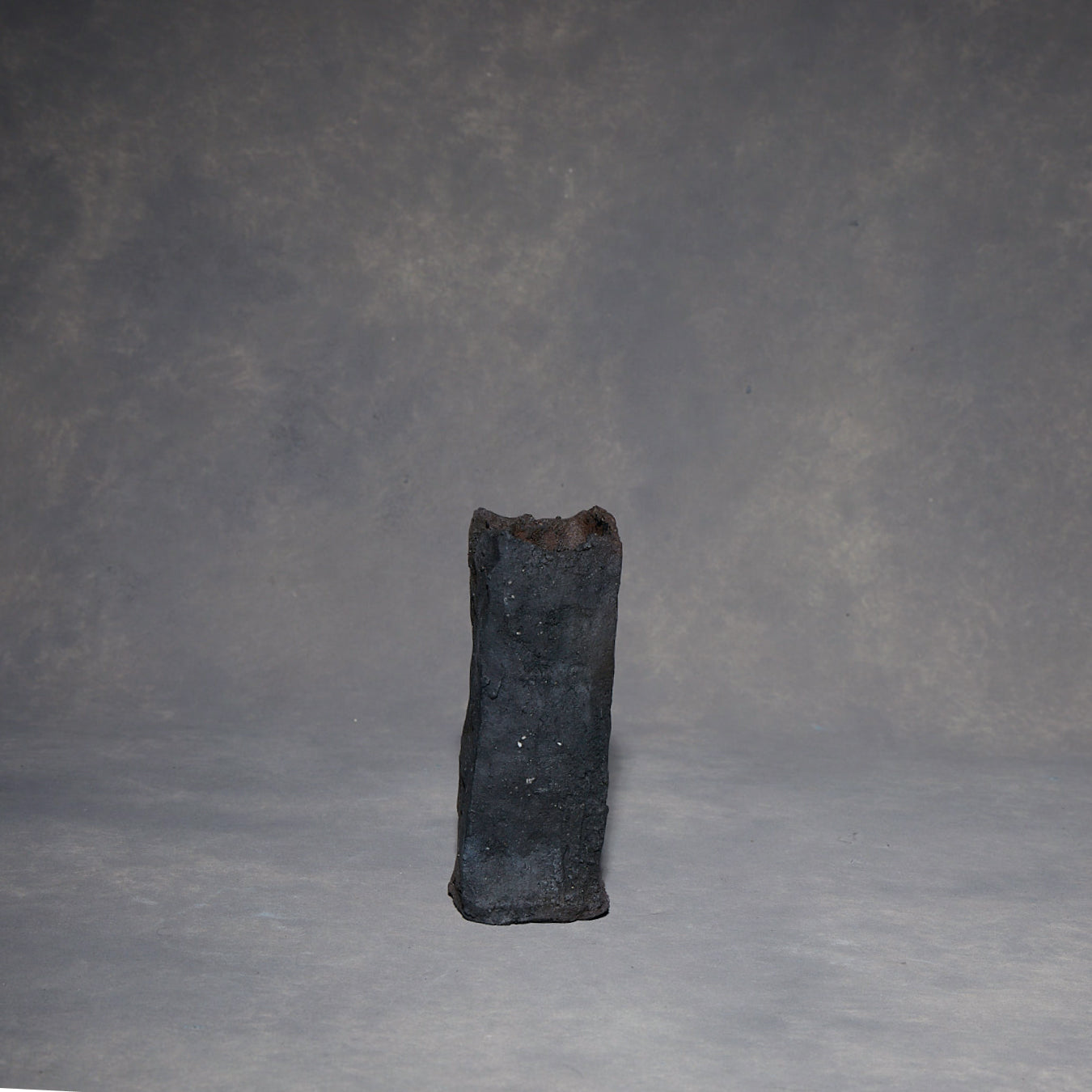 Minako Sakurai Black Vase 03