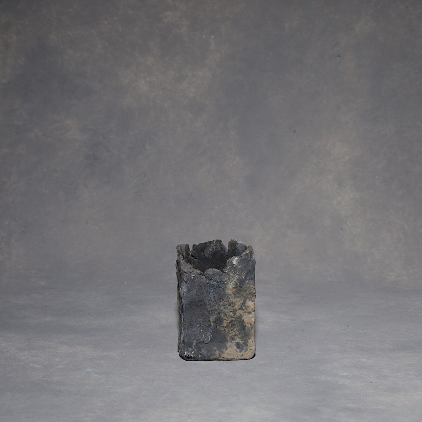Minako Sakurai Black Vase 04