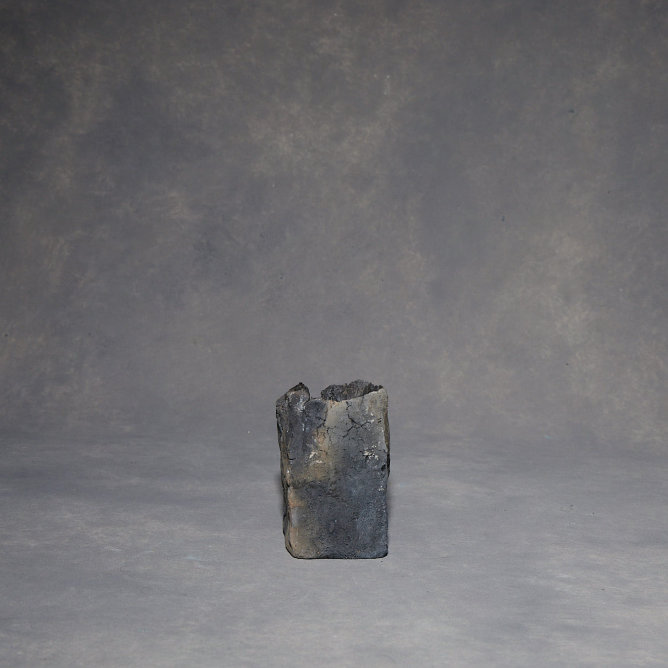Minako Sakurai Black Vase 04