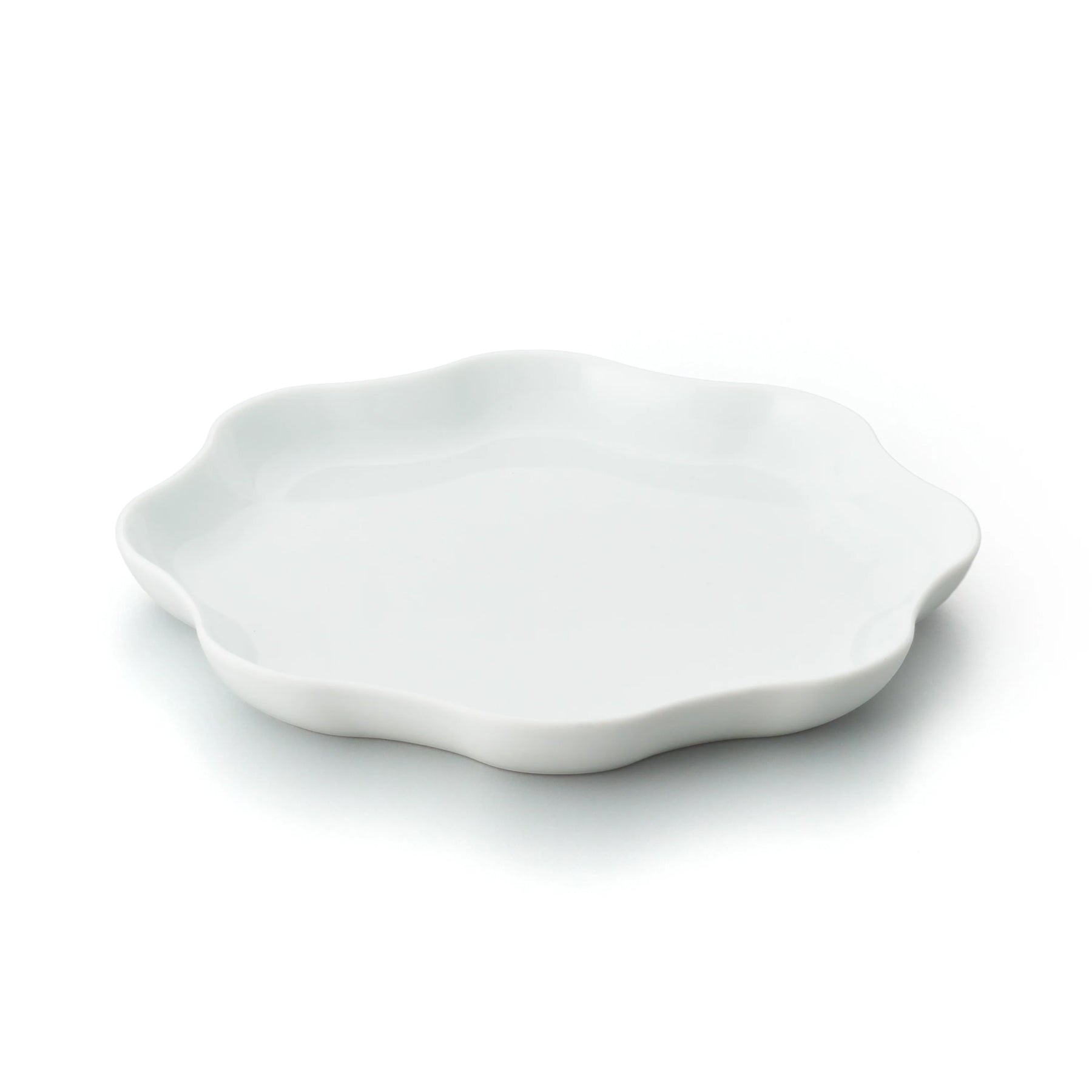 Porcelain Pottery Plate M White