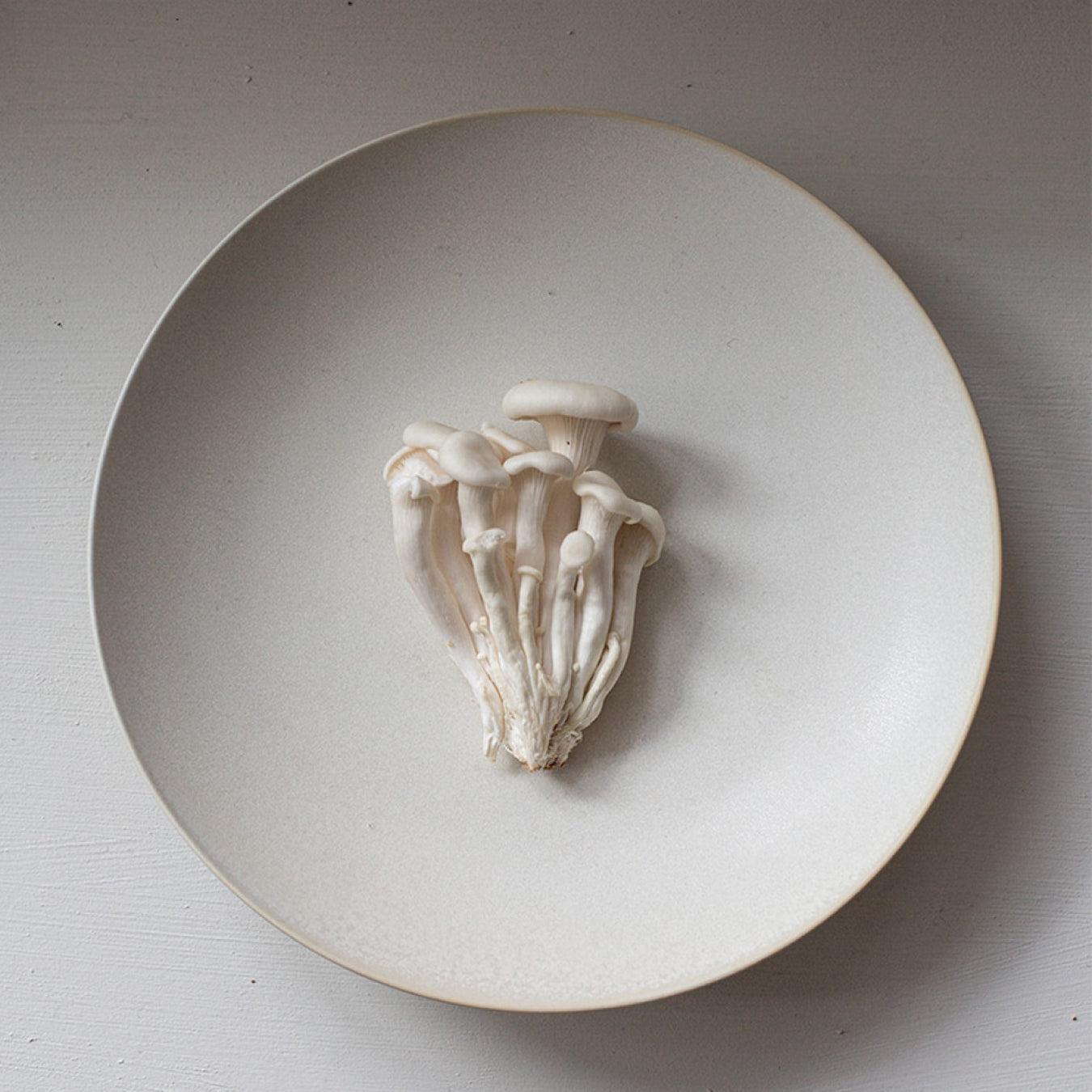 Sum Bowl 9"