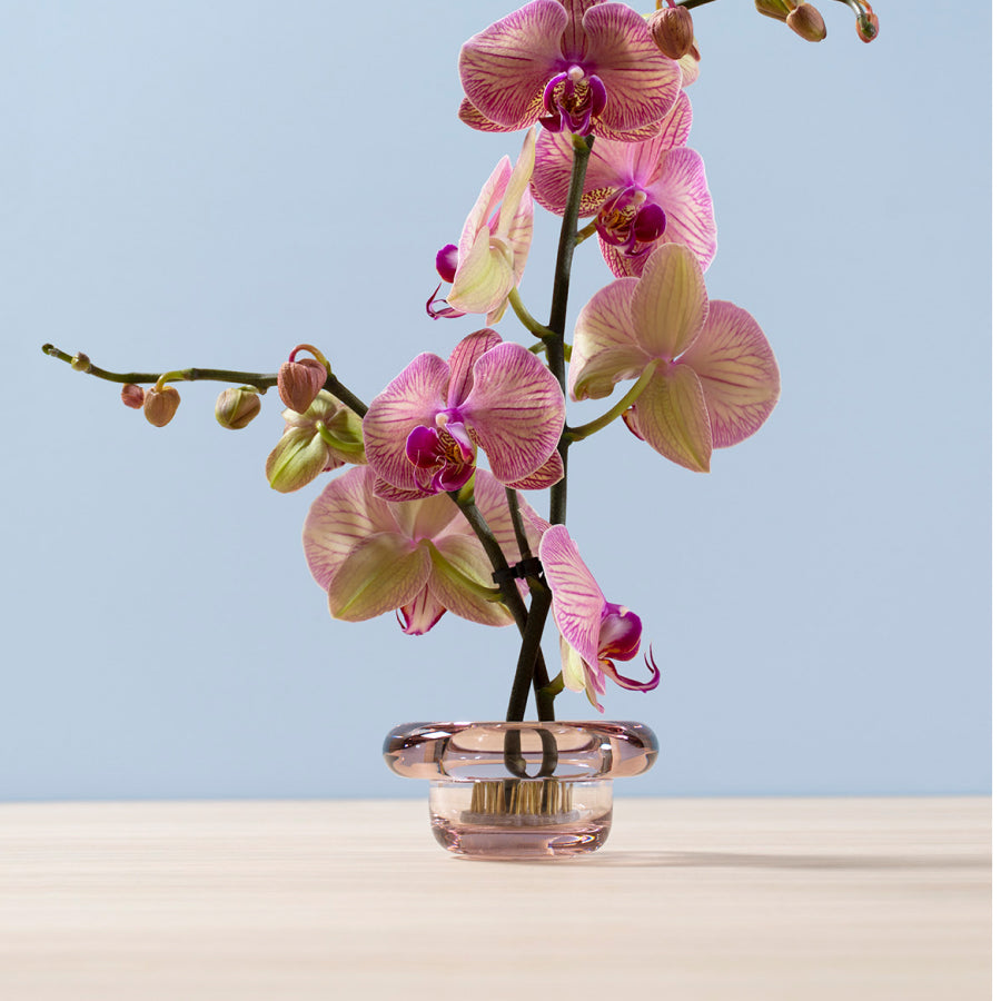 Sirkel Tealight Holder Primrose Pink