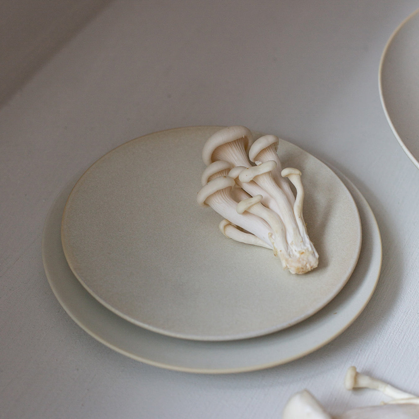 Sum Plate 6"