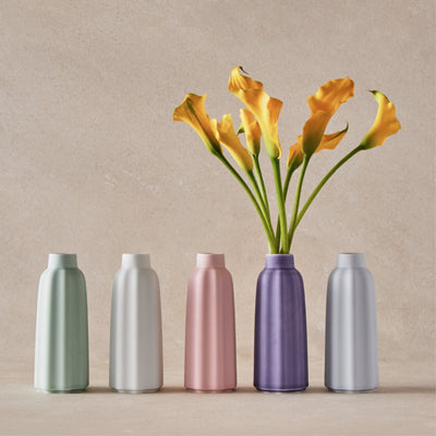Porcelain Pottery - CFCL × Hataman Touen