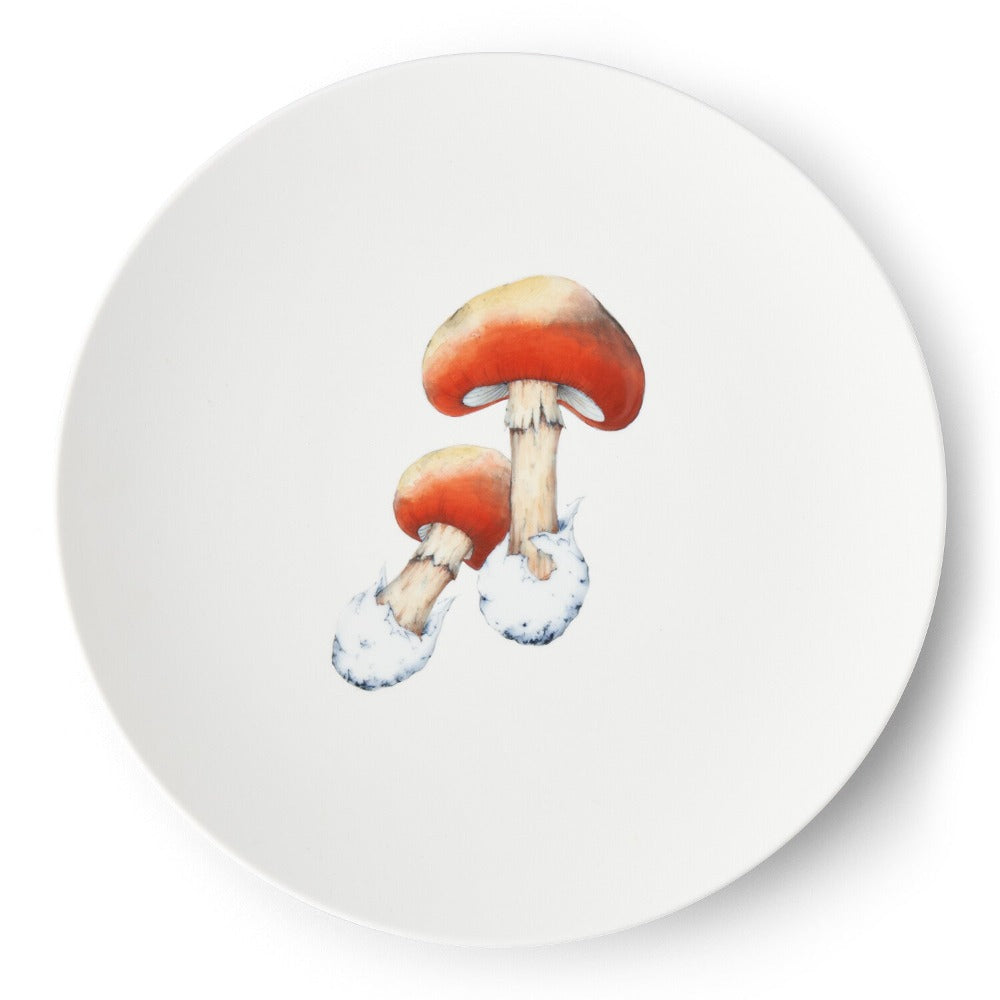 Hataman_Amanita caesarea 29 Plate