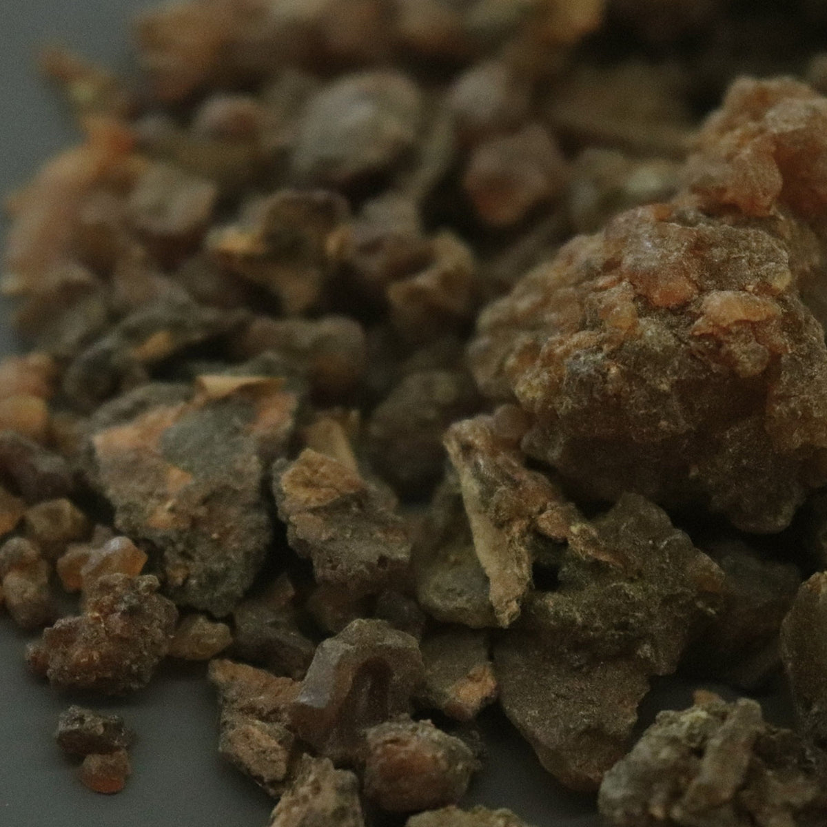 THE ROOT 595 2500 BC Incense