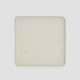 Crumbs Square Plate