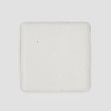 Crumbs Square Plate