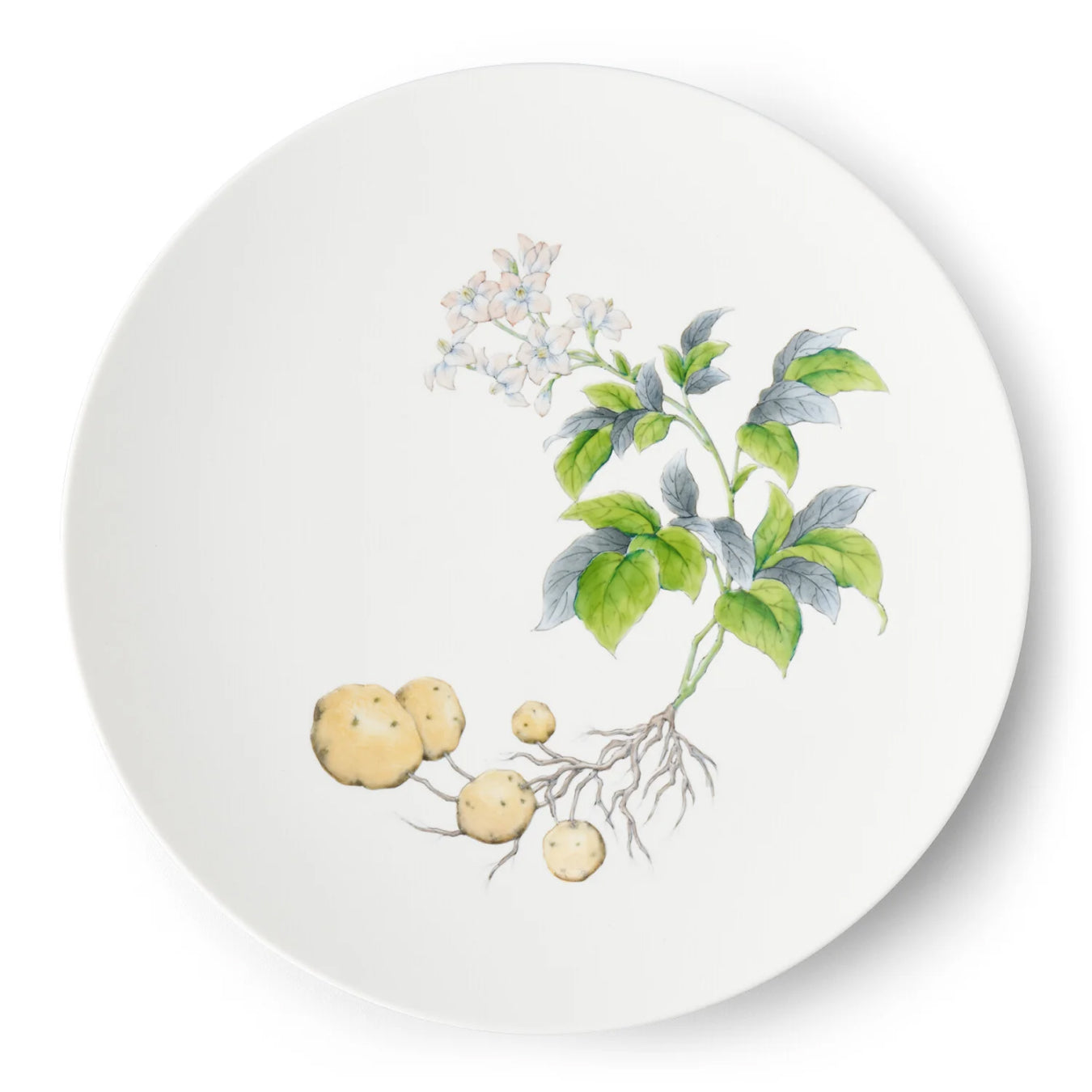 Restaurant Maison Plate 29