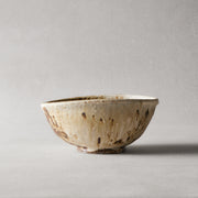 Motoyuki Tonoike Large Bowl 26-02