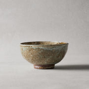 Motoyuki Tonoike Large Bowl 26-04