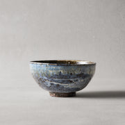 Motoyuki Tonoike Large Bowl 26-07