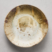 Motoyuki Tonoike Round Plate 26-12