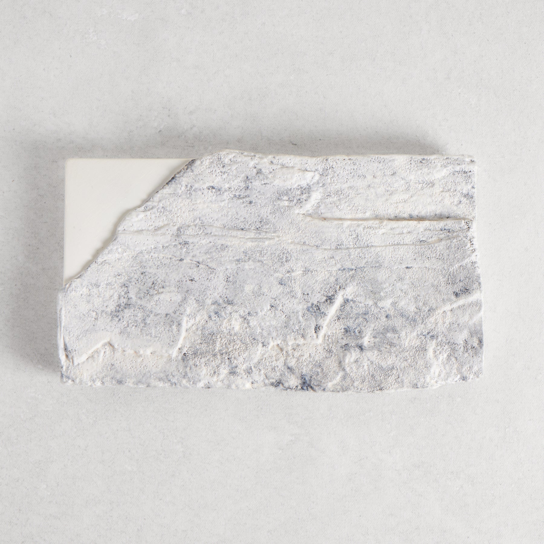 Kohiki-Silver Rectangle Plate