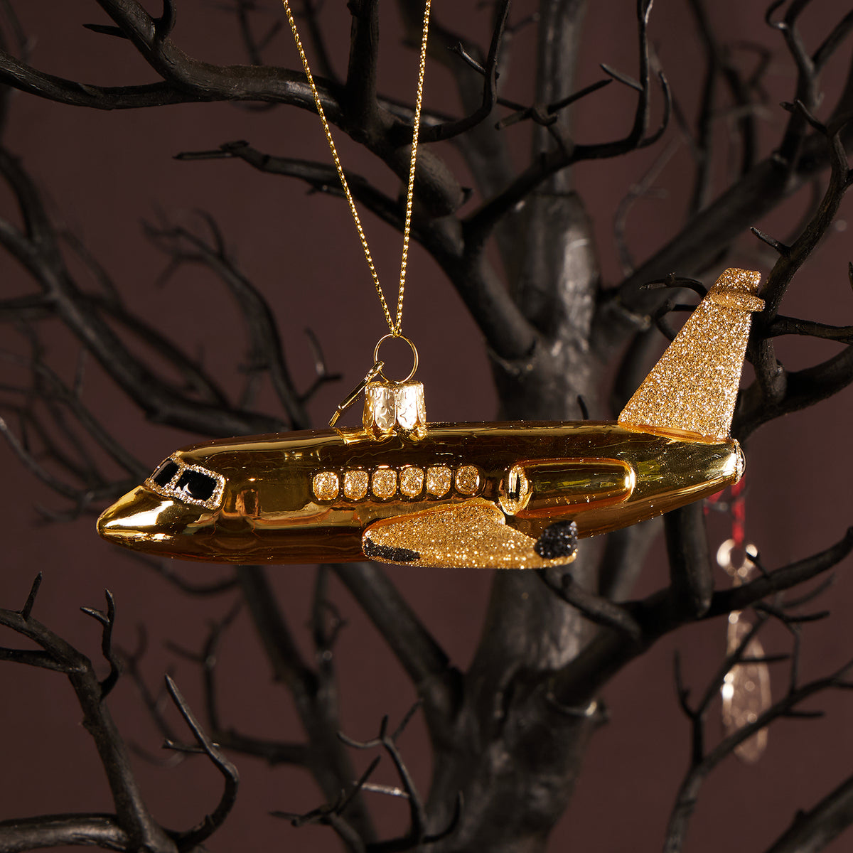 Airplane Ornament