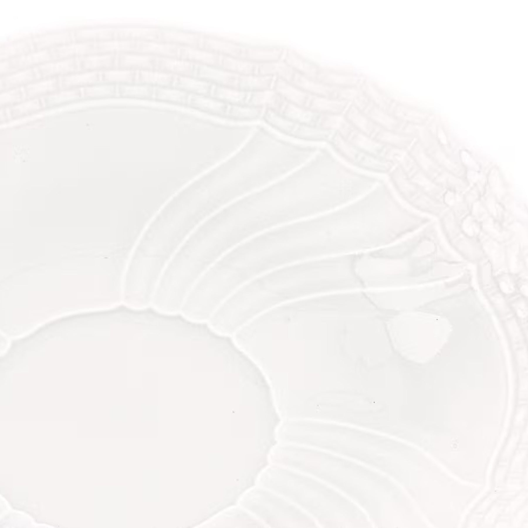 Vecchio Ginori Coffee Saucer