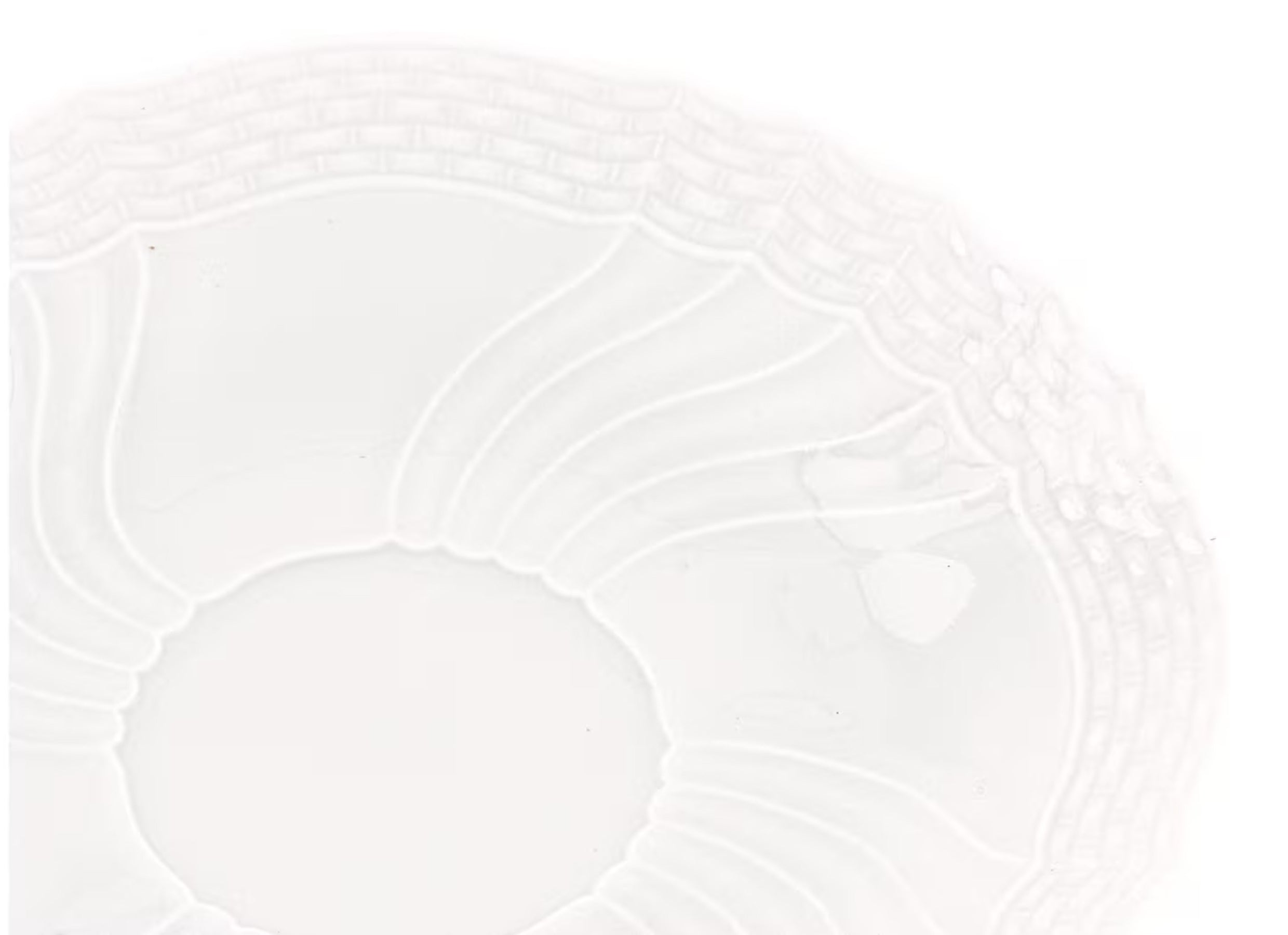 Vecchio Ginori Coffee Saucer
