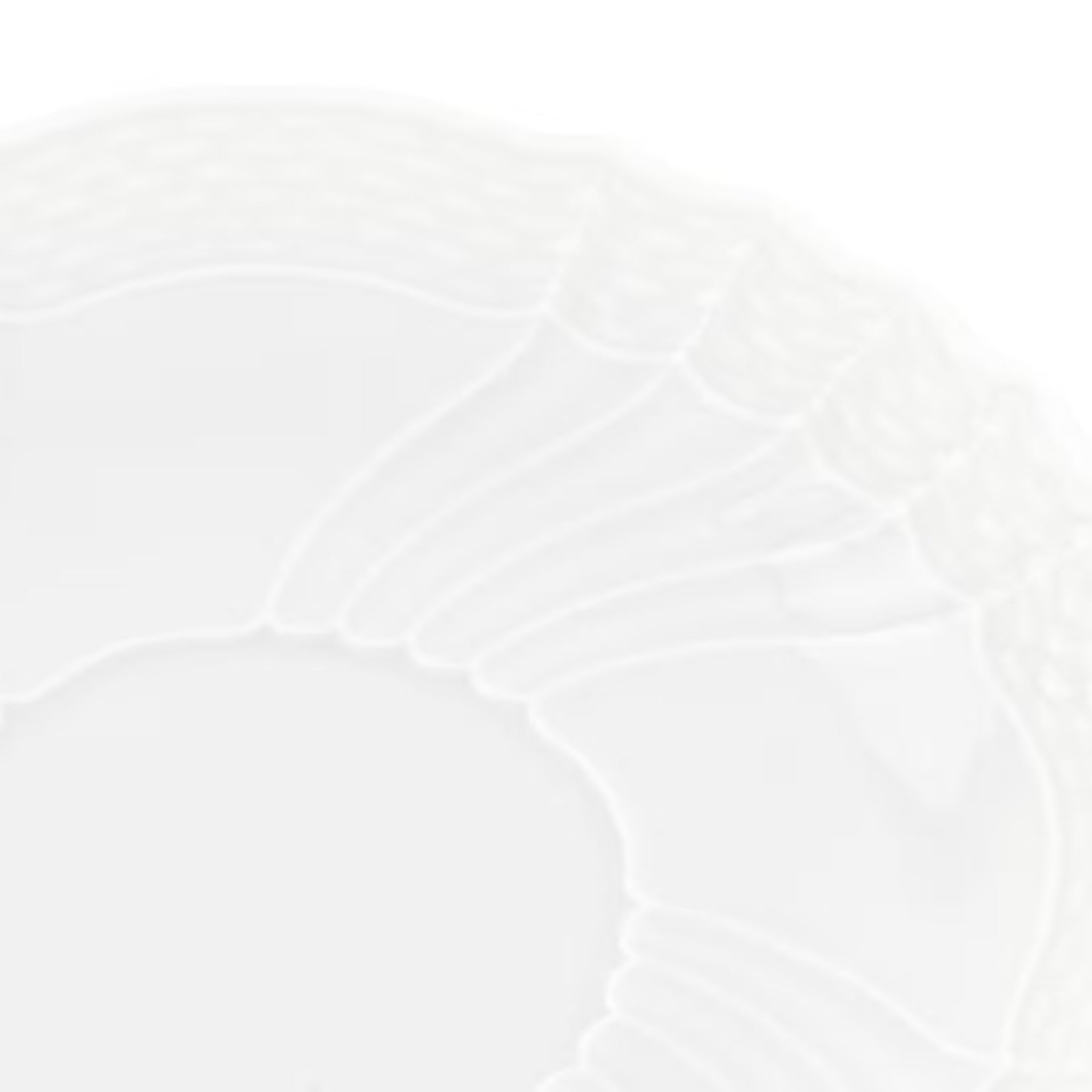 Vecchio Ginori Tea Saucer