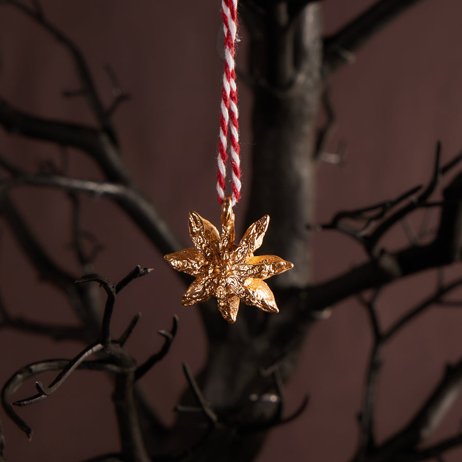 Vin Chaud Ornament - Orange / Apple / Star Anise