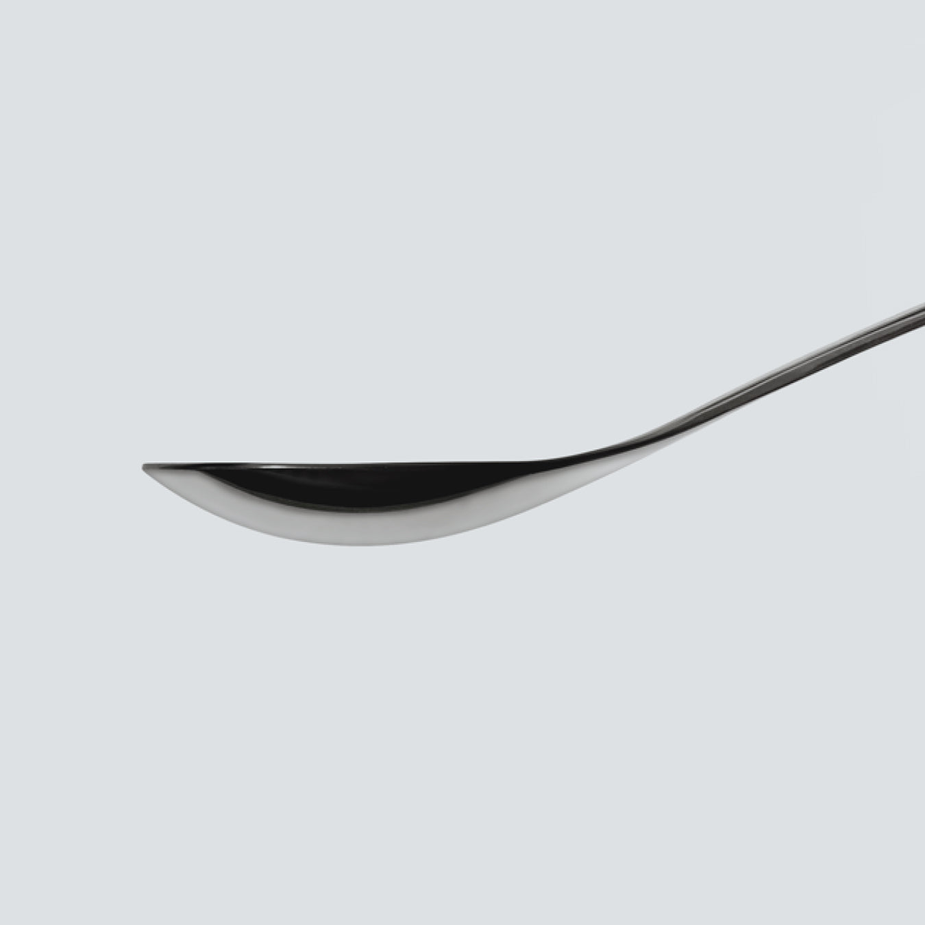 Curry Kenjin Spoon (Both Handed)